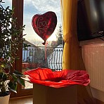 Balon Serce Red I Love You 45 cm Hel + Paczka pod drzwi